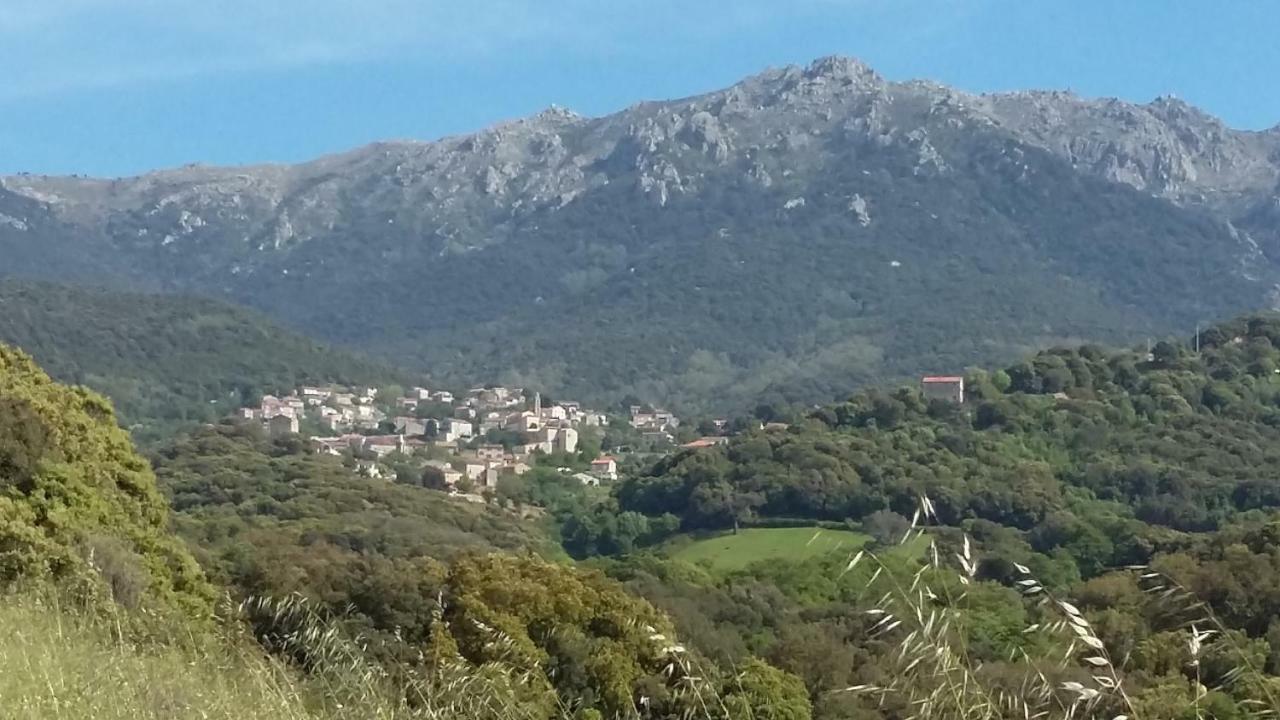 Corsica Monti Gite Appart Petreto-Bicchisano Exterior photo